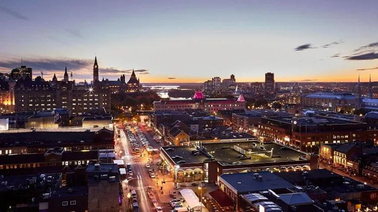 Neon Pulse District